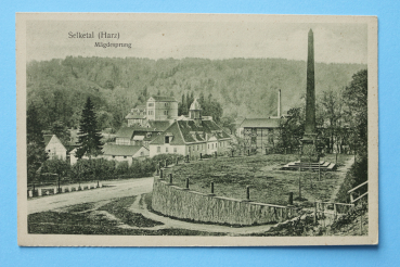 Ansichtskarte AK Selketal Harz 1905-1920 Häuser Straße Fabrik Mägdesprung Architektur Ortsansicht Sachsen Anhalt